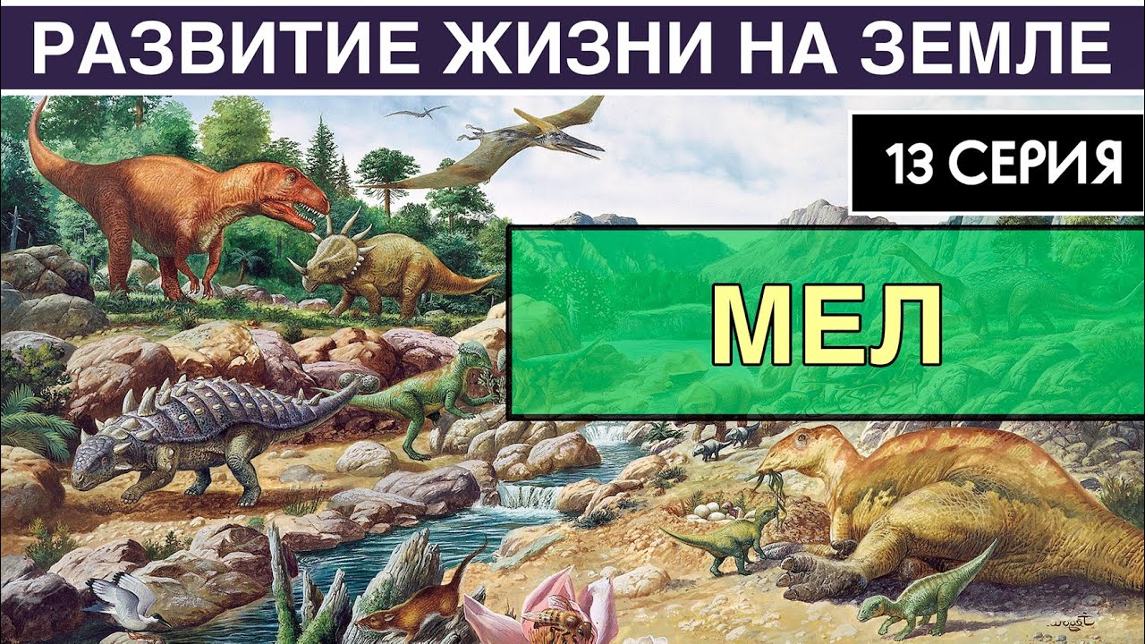 МЕЛОВОЙ ПЕРИОД. Развитие жизни на Земле. 13 серия | Великое разнообразие смотреть онлайн