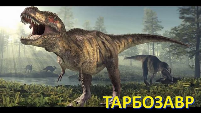 Изучаем виды хищных динозавров смотреть онлайн