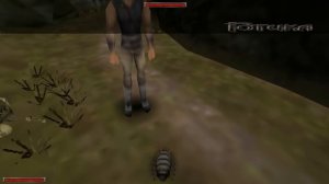 Готика 1:Как быстро повысить уровень и очки обучения?!