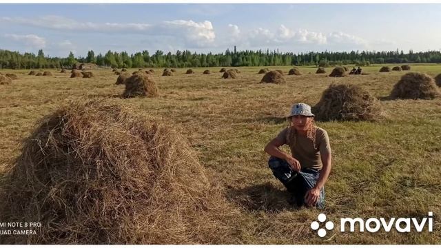 Сенокос Тыымпы Үөттээх 2021 год