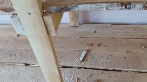 Стеллажи для, выгонки лука на перо.