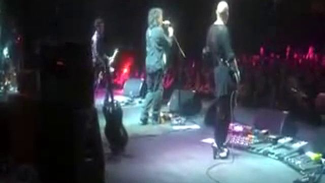 Schecter смотреть онлайн