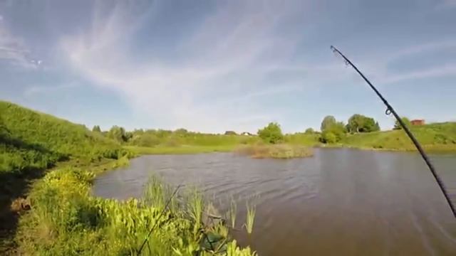Ловля карпа на фидер от Романа Тяжлова. смотреть онлайн