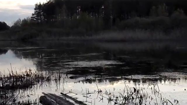 рыбалка на карьере смотреть онлайн