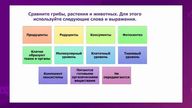 Естествознание. 5 класс. Многоклеточные организмы и их роль в экосистеме /11.05.2021/ смотреть онлайн