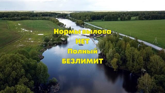 Долгожданный запуск осетра.Мой трофеи пойманные тут. смотреть онлайн