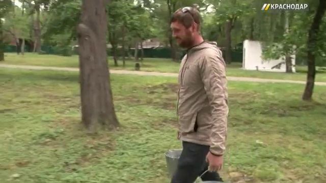 В Чистяковской роще Краснодара обработают деревья от ложногусениц смотреть онлайн