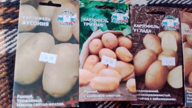 Семена огурцов для балкона и про картошку из семян. смотреть онлайн