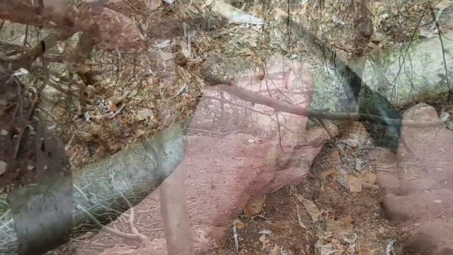 Survival Crossbow & Bolts ~ Full Tutorial смотреть онлайн