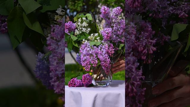 Долгожданная майская сирень в уникальной вазе Blossom😍 смотреть онлайн