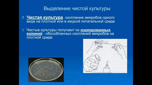 Микробиология за 7 минут смотреть онлайн