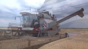 Уборка яровой пшеницы. Комбайн Вектор 410. Сезон 2015