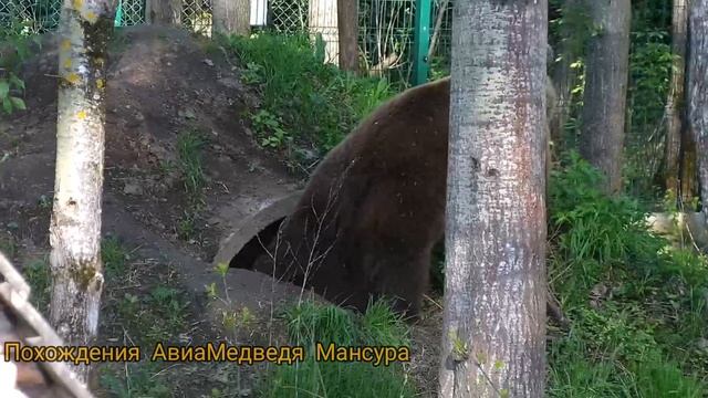 Что делать,когда квартиранты выехали и не заплатили за аренду?.. смотреть онлайн