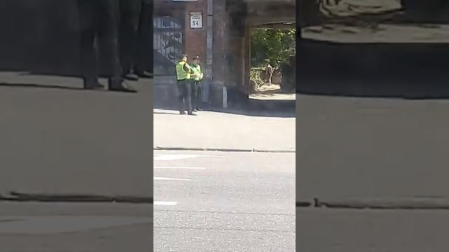 Искатель закладки так и не нашёл своё .. смотреть онлайн