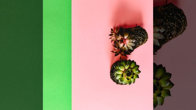 Медитация Сон Дзен Шум смотреть онлайн