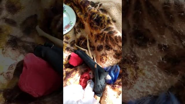 Пикник лето дача. смотреть онлайн