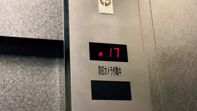 DAILY VLOG | birthday | iphone vlog |umeda sky building | osaka | dinner idea | momlife in Japan | смотреть онлайн
