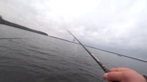 ЧЕСТНЫЙ ТЕСТ СПИННИНГОВ НА СУДАКА!!! КАК ОНИ СЕКУТ РЫБУ!!!