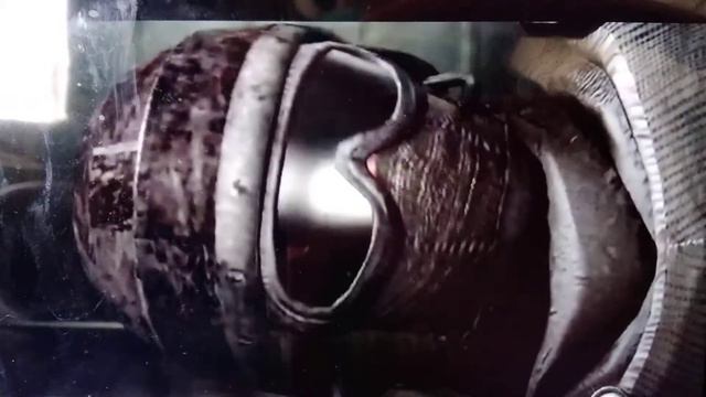 Kacey and Lukey react to Scp-096 vs Scp-173,Scp-096 vs Scp-49,Scp-49 vs Scp-35,and Scp-096 vsScp-10 смотреть онлайн