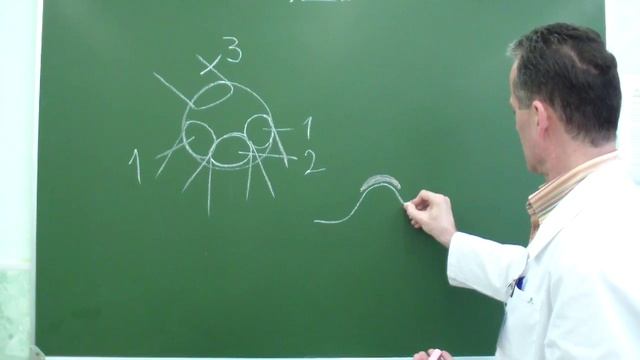 Топография пупочного кольца смотреть онлайн