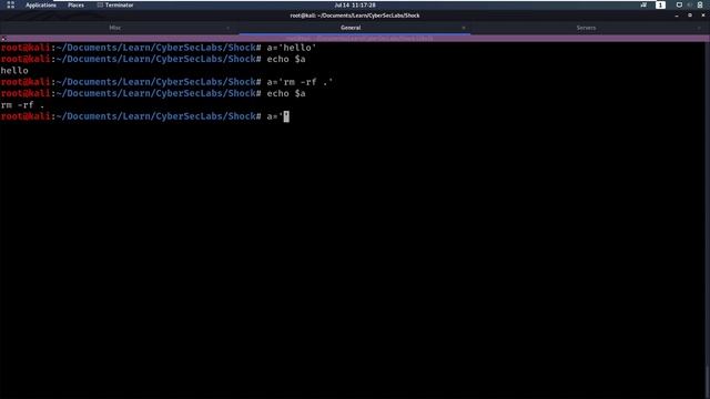 CyberSecLabs - Shock - Linux [Walkthrough] смотреть онлайн