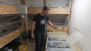 УЗВ своими руками для АККР. Как заработать с небольших УЗВ. Зачистка бассейнов.