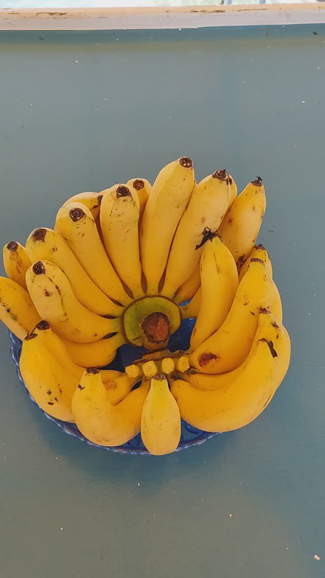 Завтрак на корабле экскурсия Джеймс Бонд.
Таиланд 2024 за 50 тысяч рублей с перелетом. Тутси - диеты смотреть онлайн