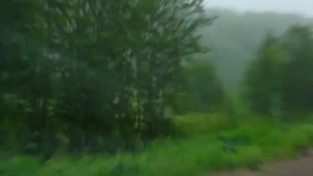 Камчатка. по встречке заяц мчится… смотреть онлайн