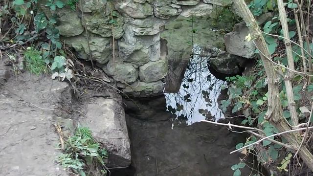 Источник "Бассейн" в Севастьяновке смотреть онлайн