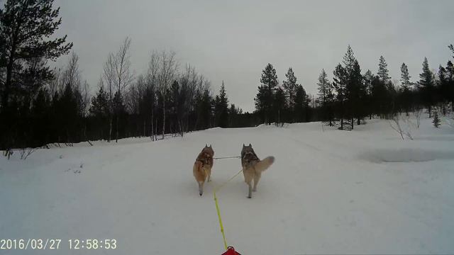 Ума и Плюша.27.03.2016 смотреть онлайн