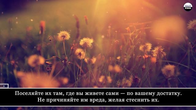 Surah 65 Ат-Талак (Развод) смотреть онлайн