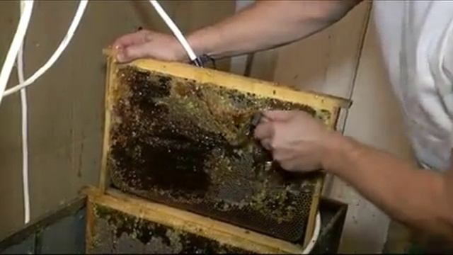 Нож от компании "Би-Пром" (Медогонка Грановского) смотреть онлайн