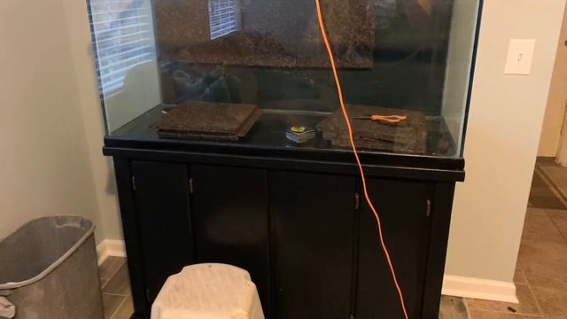 Two Tanks in One Day | Bearded Dragon Arid Setup | Ball Python Forest Setup смотреть онлайн