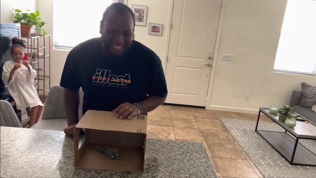 What’s in the box challenge смотреть онлайн