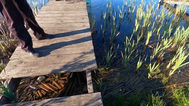 Отчет рыбалки за 4 мая 2022 года. "Новая рыбалка" в Белгороде смотреть онлайн