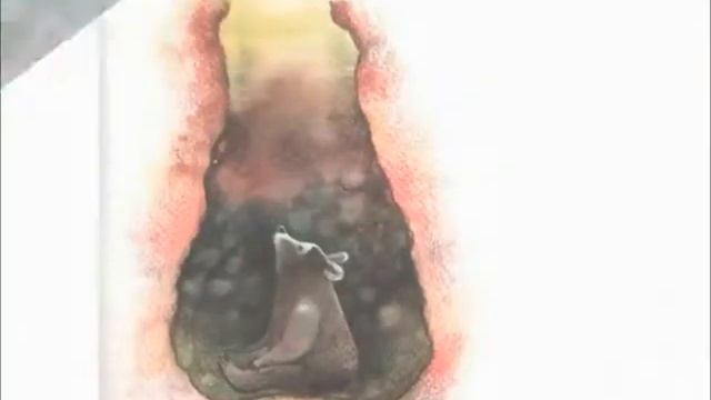 буктрейлер на книгу "Лето разноцветно-косолапое" смотреть онлайн