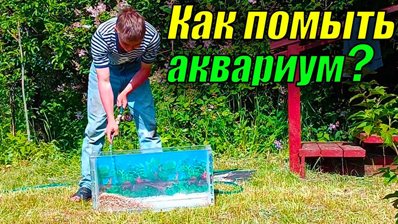 Как помыть аквариум без воды в доме? смотреть онлайн