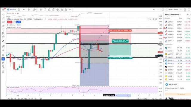 Natural Gas Bearish Or Bullish ?| Gold | Crude Oil Next Zones & Targets | Technical Analysis