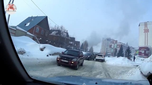 Как сделать правильный сарай для содержания свиней. смотреть онлайн