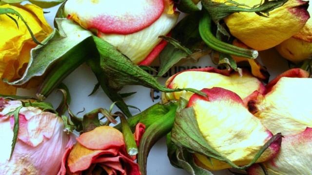 Экзамен на Безусловную Любовь