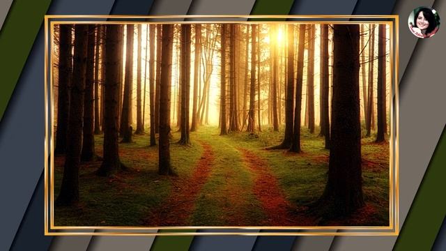 НЕТ "НЕПРАВИЛЬНЫХ" ПАРТНЁРОВ. (лекция Сэма Вакнина) смотреть онлайн