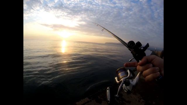 Needlefish fishing - Live Sandworm vs Marukyu Isome / Заргана -на морски червей или изкуствен черве смотреть онлайн