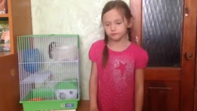 Мои домашние животные////Моё первое видео смотреть онлайн
