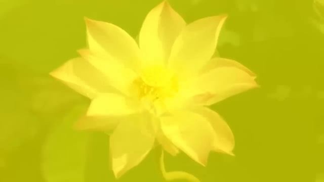 Звуковой массаж всех чакр: Чудо-Тона 174Гц, 285Гц, 396Гц, 417гц, 528Гц, 639Гц, 741Гц, 852гц, 963 Гц