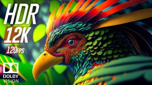 Дикие Животные 12K HDR 120fps Dolby Vision Успокаивающая музыка