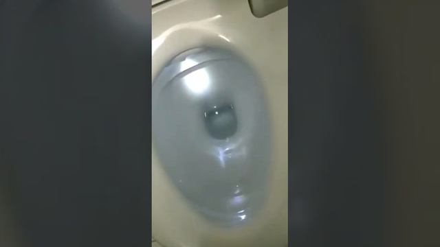 Модный туалет. смотреть онлайн