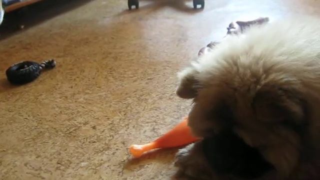 Микоша-строгий наставник и учитель молодёжи)) смотреть онлайн