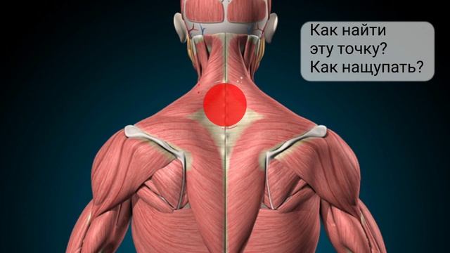 Все Точки Для Хиджамы Из Сунны I Точка Аль Кахиль I Как найти точки смотреть онлайн