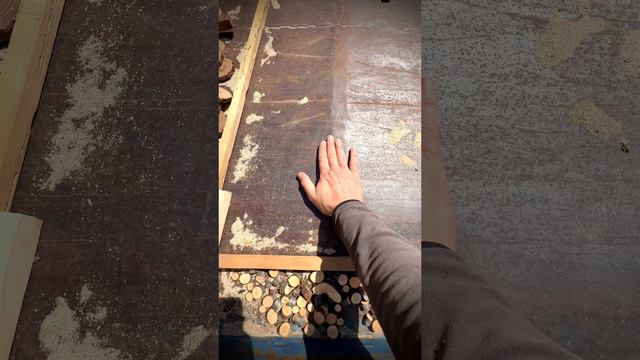 Как правильно сушить #спилы #издерева