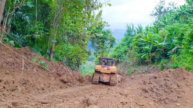 The Caterpillar D6R XL Bulldozer Operator Is Very Good At Working To Tidy Up The Palm Roads